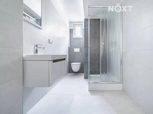 Prodej bytu 1+1, Praha - Žižkov, Na mokřině, 91 m2