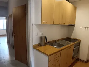 Pronájem bytu 2+1, Praha - Košíře, Vrchlického, 50 m2