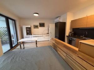 Pronájem bytu 1+kk, Brno, Bratislavská, 58 m2