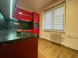 Pronájem bytu 2+1, Ostrava, Sokolovská, 55 m2
