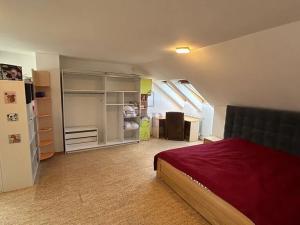 Prodej rodinného domu, Karlovy Vary, Motýlí, 246 m2