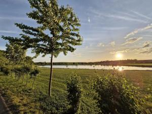 Prodej bytu 4+kk, Sokolnice, Zámecká, 126 m2