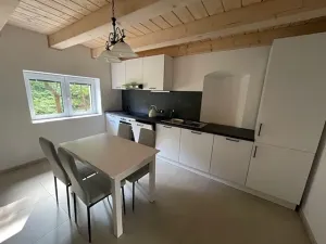 Pronájem rodinného domu, Petrovice, 338 m2