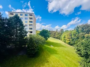Prodej bytu 2+1, Cheb, Družstevní, 52 m2