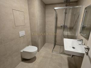 Pronájem bytu 1+kk, Brno - Jehnice, Kleštínek, 38 m2