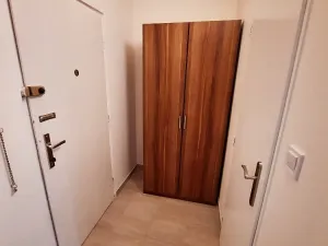 Pronájem bytu 1+1, Praha, Kaplická, 30 m2