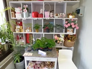 Pronájem obchodního prostoru, Praha - Vinohrady, Francouzská, 29 m2