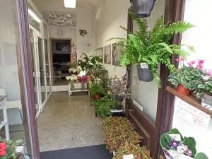 Pronájem obchodního prostoru, Praha - Vinohrady, Francouzská, 29 m2