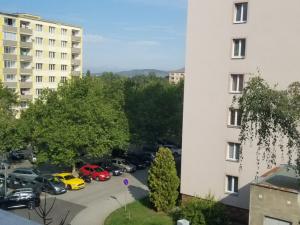 Pronájem bytu 3+1, Louny, Kosmonautů, 81 m2