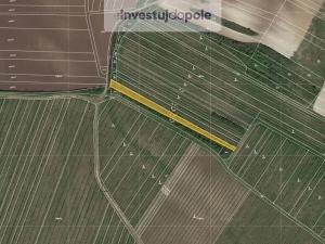 Prodej pole, Starovičky, 1328 m2