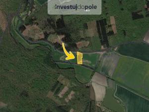 Prodej pole, Městec Králové - Vinice, 7658 m2