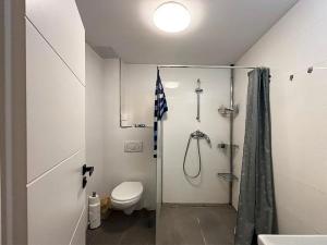 Pronájem bytu 1+kk, Hradec Králové, Šafaříkova, 28 m2
