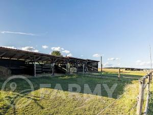 Prodej zemědělské usedlosti, Březnice, 300 m2
