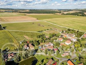 Prodej zemědělské usedlosti, Březnice, 300 m2