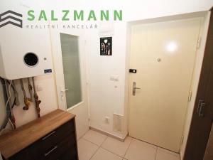 Pronájem bytu 2+1, Plzeň, Klatovská třída, 50 m2
