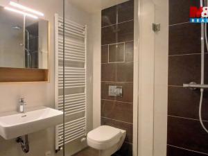 Pronájem bytu 2+kk, Praha - Žižkov, Hartigova, 47 m2