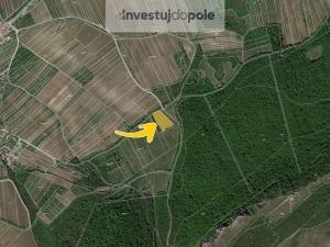 Prodej louky, Horní Věstonice, 5123 m2