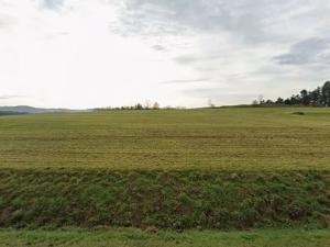 Prodej podílu pozemku pro bydlení, Malý Bor, 6505 m2