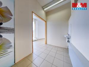 Prodej kanceláře, Písek - Pražské Předměstí, Čechova, 53 m2