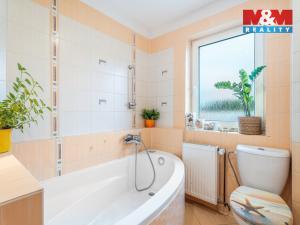 Prodej činžovního domu, Ústí nad Labem - Krásné Březno, Janáčkova, 299 m2