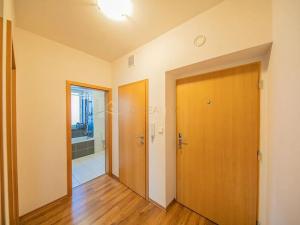 Pronájem bytu 1+kk, Olomouc, Peškova, 42 m2