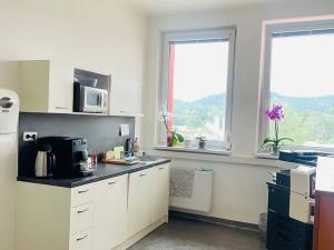 Pronájem kanceláře, Šumperk, 20 m2