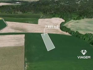 Prodej pole, Petroupim, 7931 m2