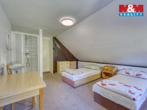 Pronájem rodinného domu, Stříbro, Lesní cesta, 164 m2