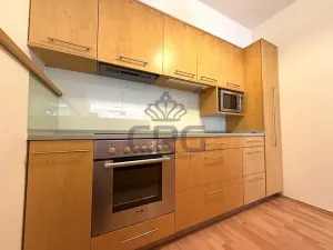 Pronájem bytu 2+kk, Brno, Haškova, 87 m2