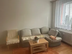 Pronájem bytu 1+kk, Jihlava, Srázná, 32 m2