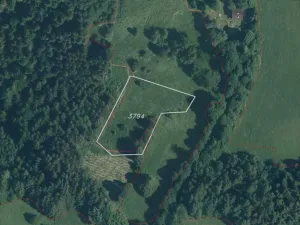Dražba louky, Malá Bystřice, 3433 m2