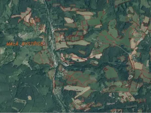 Dražba louky, Malá Bystřice, 3433 m2