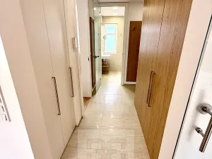 Prodej bytu 2+kk, Praha - Nusle, Pod lázní, 66 m2