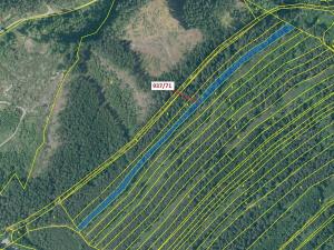 Dražba lesa, Netřebice, 6768 m2