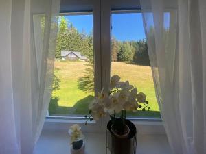 Prodej bytu 2+1, Harrachov, 63 m2