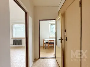 Prodej bytu 1+1, Skořenice, 35 m2