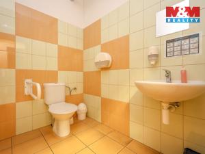 Pronájem skladu, Mohelnice, Sadová, 2700 m2