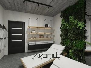 Pronájem bytu 2+kk, Ostrava, U Hrůbků, 49 m2