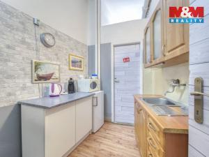 Pronájem obchodního prostoru, Plzeň - Východní Předměstí, Šafaříkovy sady, 146 m2