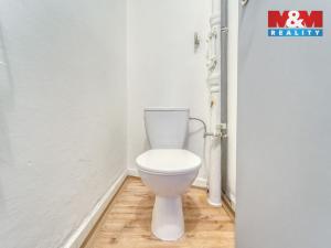 Pronájem obchodního prostoru, Plzeň - Východní Předměstí, Šafaříkovy sady, 146 m2