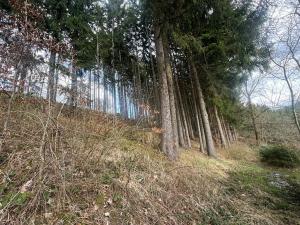 Prodej lesa, Liptál, 42190 m2
