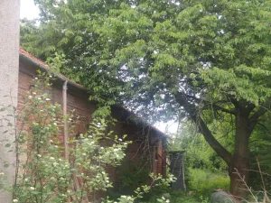 Dražba - jiné, Štěpánov, 110 m2