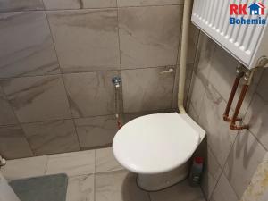 Prodej rodinného domu, Mladá Boleslav, Vinecká, 130 m2