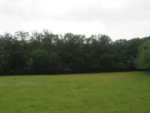 Dražba lesa, Hrabišín, 23811 m2