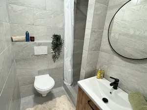 Pronájem bytu 1+kk, Jihlava, Telečská, 20 m2