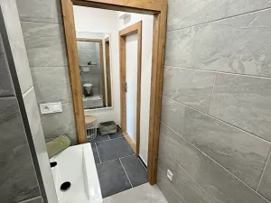 Pronájem bytu 1+kk, Jihlava, Telečská, 20 m2
