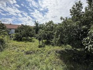 Prodej vinného sklepa, Dolní Věstonice, 54 m2