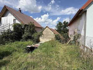 Prodej vinného sklepa, Dolní Věstonice, 54 m2