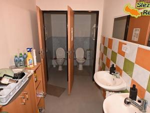 Pronájem skladu, Ostrava, Výškovická, 907 m2
