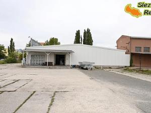 Pronájem skladu, Ostrava, Výškovická, 907 m2